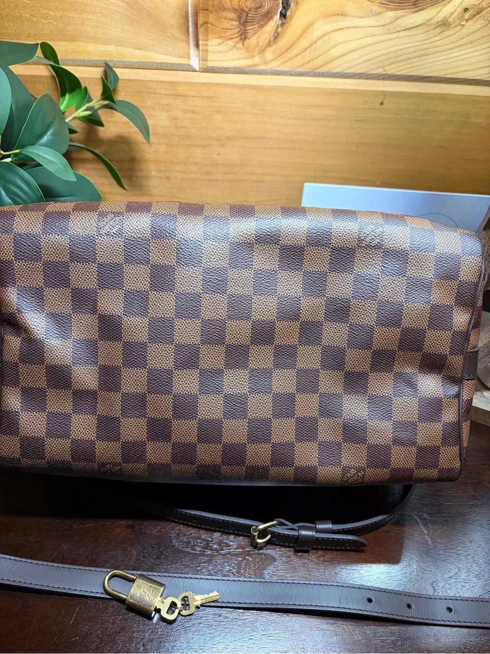 Louis Vuitton Speedy 30